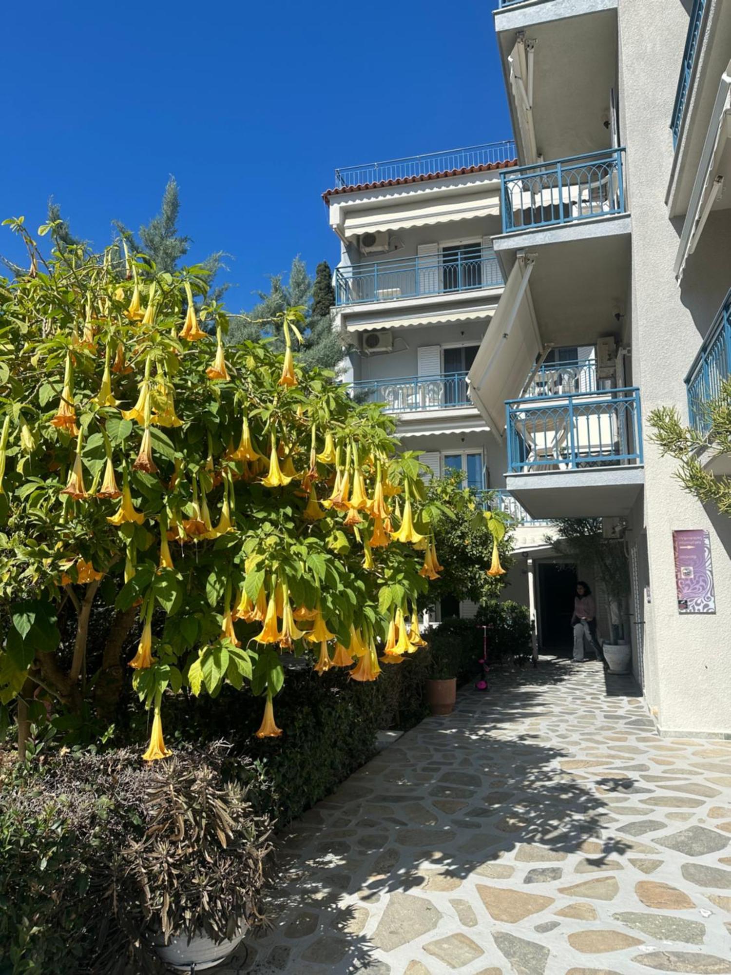 Drossinos Studios Poros Town Eksteriør billede