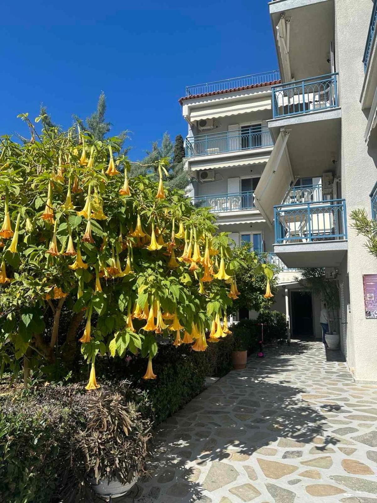 Drossinos Studios Poros Town Eksteriør billede